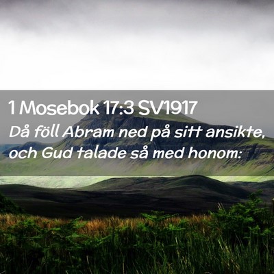 Picture 02 - 1 Mosebok 17:3 SV1917 - Då föll Abram ned på sitt ansikte, och Gud - Bible Verse Picture