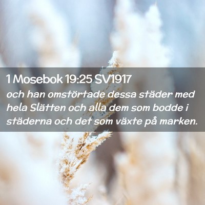 Picture 02 - 1 Mosebok 19:25 SV1917 - och han omstörtade dessa städer med hela - Bible Verse Picture