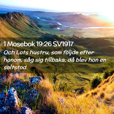 Picture 02 - 1 Mosebok 19:26 SV1917 - Och Lots hustru, som följde efter honom, såg - Bible Verse Picture