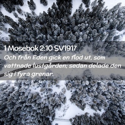 Picture 02 - 1 Mosebok 2:10 SV1917 - Och från Eden gick en flod ut, som vattnade - Bible Verse Picture