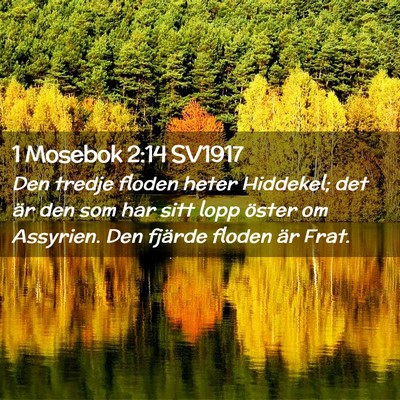 Picture 02 - 1 Mosebok 2:14 SV1917 - Den tredje floden heter Hiddekel; det är den som - Bible Verse Picture