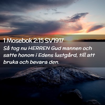 Picture 02 - 1 Mosebok 2:15 SV1917 - Så tog nu HERREN Gud mannen och satte honom i - Bible Verse Picture