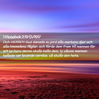 Picture 02 - 1 Mosebok 2:19 SV1917 - Och HERREN Gud danade av jord alla markens djur - Bible Verse Picture