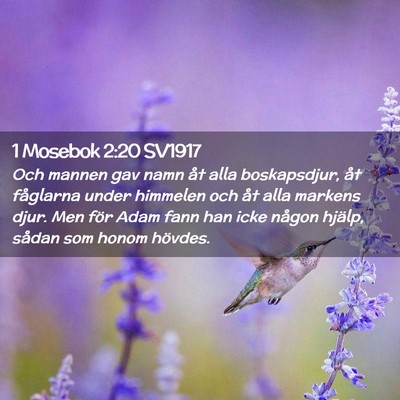 Picture 02 - 1 Mosebok 2:20 SV1917 - Och mannen gav namn åt alla boskapsdjur, åt - Bible Verse Picture
