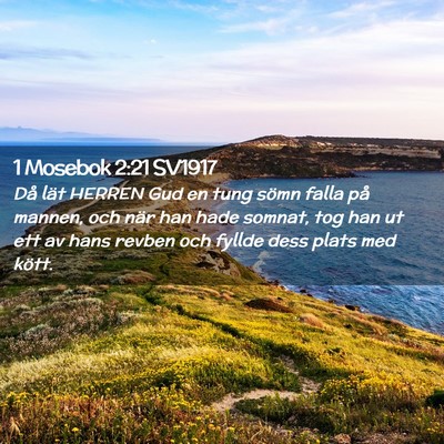 Picture 02 - 1 Mosebok 2:21 SV1917 - Då lät HERREN Gud en tung sömn falla på - Bible Verse Picture
