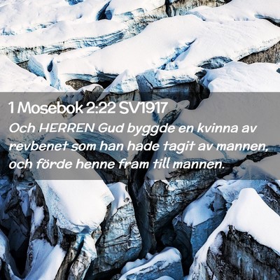 Picture 02 - 1 Mosebok 2:22 SV1917 - Och HERREN Gud byggde en kvinna av revbenet som - Bible Verse Picture