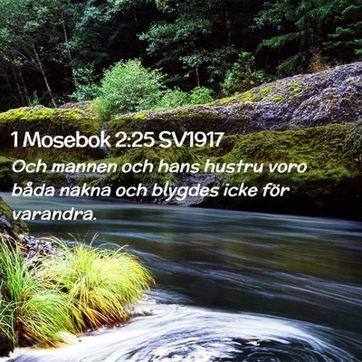 Picture 02 - 1 Mosebok 2:25 SV1917 - Och mannen och hans hustru voro båda nakna och - Bible Verse Picture
