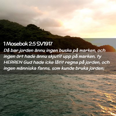 Picture 02 - 1 Mosebok 2:5 SV1917 - Då bar jorden ännu ingen buske på marken, och - Bible Verse Picture