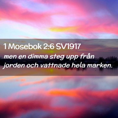 Picture 02 - 1 Mosebok 2:6 SV1917 - men en dimma steg upp från jorden och vattnade - Bible Verse Picture