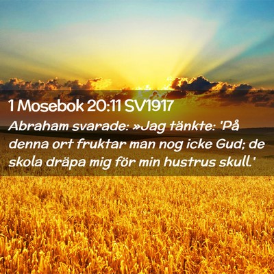 Picture 02 - 1 Mosebok 20:11 SV1917 - Abraham svarade: »Jag tänkte: 'På denna ort - Bible Verse Picture