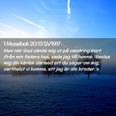 Picture 02 - 1 Mosebok 20:13 SV1917 - Men när Gud sände mig ut på vandring bort - Bible Verse Picture