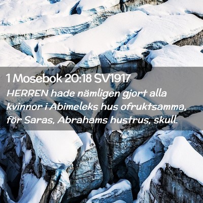 Picture 02 - 1 Mosebok 20:18 SV1917 - HERREN hade nämligen gjort alla kvinnor i - Bible Verse Picture