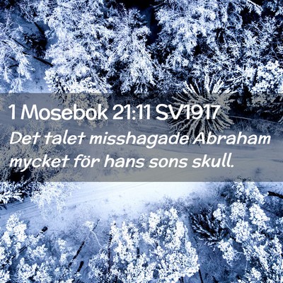 Picture 02 - 1 Mosebok 21:11 SV1917 - Det talet misshagade Abraham mycket för hans - Bible Verse Picture