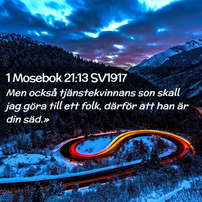 Picture 02 - 1 Mosebok 21:13 SV1917 - Men också tjänstekvinnans son skall jag göra - Bible Verse Picture