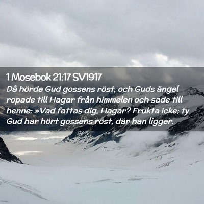 Picture 02 - 1 Mosebok 21:17 SV1917 - Då hörde Gud gossens röst, och Guds ängel - Bible Verse Picture
