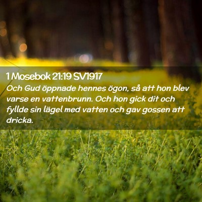 Picture 02 - 1 Mosebok 21:19 SV1917 - Och Gud öppnade hennes ögon, så att hon blev - Bible Verse Picture