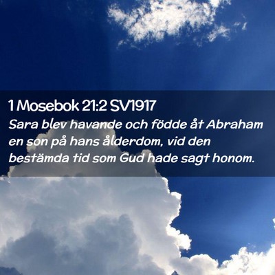 Picture 02 - 1 Mosebok 21:2 SV1917 - Sara blev havande och födde åt Abraham en son - Bible Verse Picture
