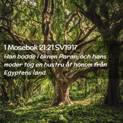 Picture 02 - 1 Mosebok 21:21 SV1917 - Han bodde i öknen Paran; och hans moder tog en - Bible Verse Picture