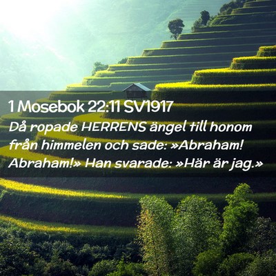 Picture 02 - 1 Mosebok 22:11 SV1917 - Då ropade HERRENS ängel till honom från - Bible Verse Picture