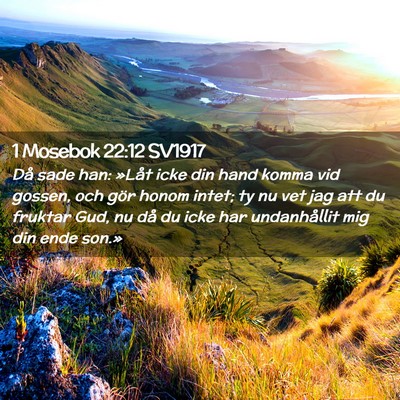 Picture 02 - 1 Mosebok 22:12 SV1917 - Då sade han: »Låt icke din hand komma vid - Bible Verse Picture