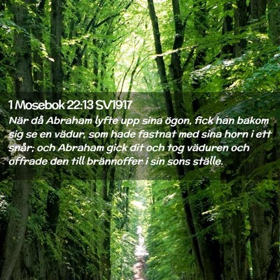 Picture 02 - 1 Mosebok 22:13 SV1917 - När då Abraham lyfte upp sina ögon, fick han - Bible Verse Picture