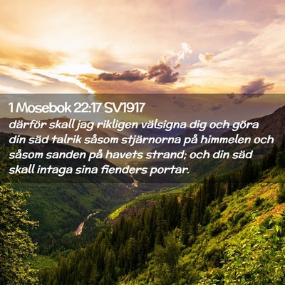 Picture 02 - 1 Mosebok 22:17 SV1917 - därför skall jag rikligen välsigna dig och - Bible Verse Picture