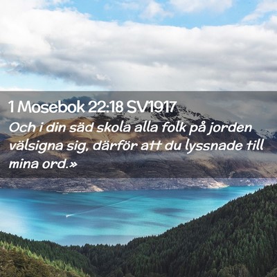 Picture 02 - 1 Mosebok 22:18 SV1917 - Och i din säd skola alla folk på jorden - Bible Verse Picture
