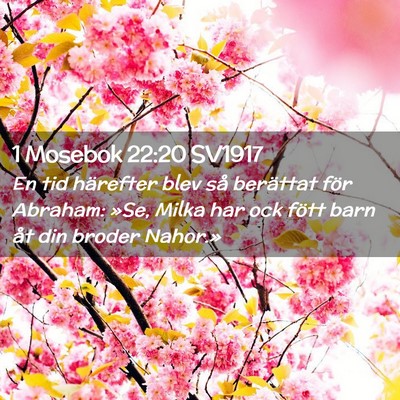 Picture 02 - 1 Mosebok 22:20 SV1917 - En tid härefter blev så berättat för Abraham: - Bible Verse Picture