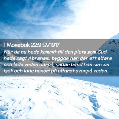 Picture 02 - 1 Mosebok 22:9 SV1917 - När de nu hade kommit till den plats som Gud - Bible Verse Picture