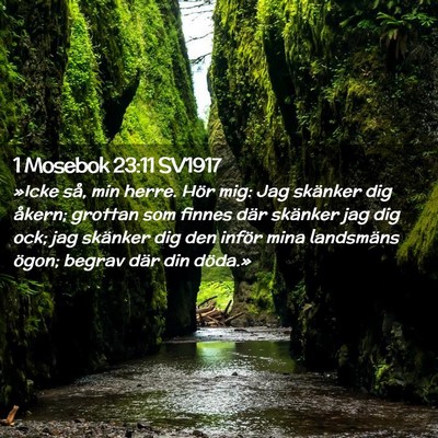 Picture 02 - 1 Mosebok 23:11 SV1917 - »Icke så, min herre. Hör mig: Jag skänker dig - Bible Verse Picture