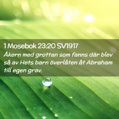 Picture 02 - 1 Mosebok 23:20 SV1917 - Åkern med grottan som fanns där blev så av - Bible Verse Picture