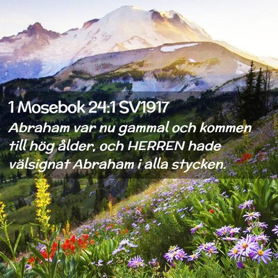 Picture 02 - 1 Mosebok 24:1 SV1917 - Abraham var nu gammal och kommen till hög - Bible Verse Picture