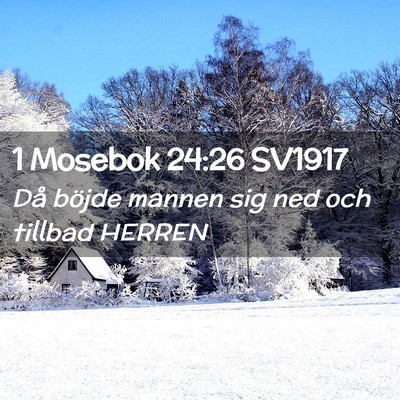 Picture 02 - 1 Mosebok 24:26 SV1917 - Då böjde mannen sig ned och tillbad - Bible Verse Picture