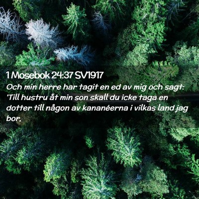 Picture 02 - 1 Mosebok 24:37 SV1917 - Och min herre har tagit en ed av mig och sagt: - Bible Verse Picture