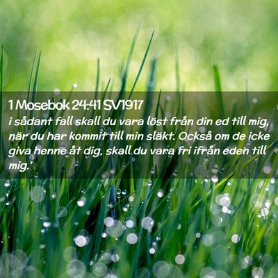 Picture 02 - 1 Mosebok 24:41 SV1917 - i sådant fall skall du vara löst från din ed - Bible Verse Picture
