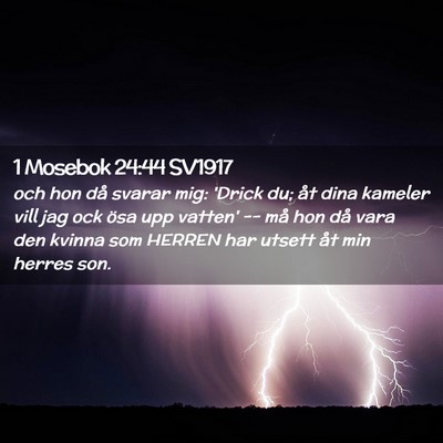 Picture 02 - 1 Mosebok 24:44 SV1917 - och hon då svarar mig: 'Drick du; åt dina - Bible Verse Picture