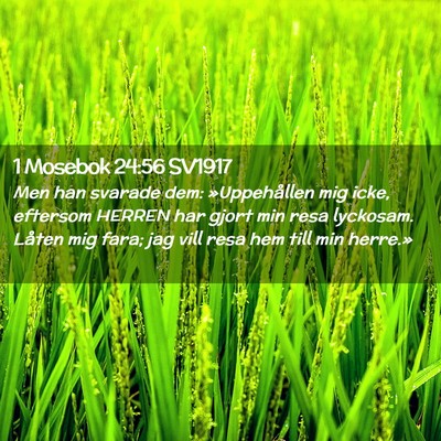 Picture 02 - 1 Mosebok 24:56 SV1917 - Men han svarade dem: »Uppehållen mig icke, - Bible Verse Picture