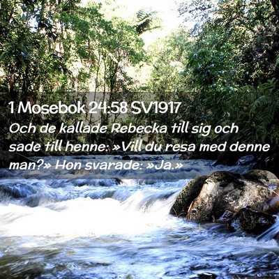 Picture 02 - 1 Mosebok 24:58 SV1917 - Och de kallade Rebecka till sig och sade till - Bible Verse Picture