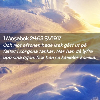 Picture 02 - 1 Mosebok 24:63 SV1917 - Och mot aftonen hade Isak gått ut på fältet i - Bible Verse Picture