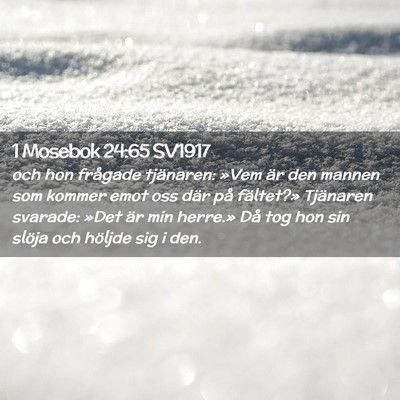 Picture 02 - 1 Mosebok 24:65 SV1917 - och hon frågade tjänaren: »Vem är den mannen - Bible Verse Picture
