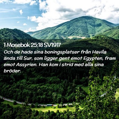 Picture 02 - 1 Mosebok 25:18 SV1917 - Och de hade sina boningsplatser från Havila - Bible Verse Picture