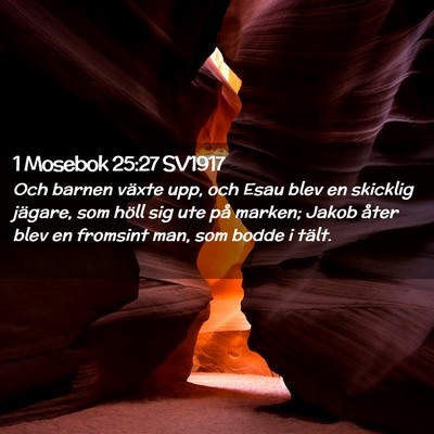 Picture 02 - 1 Mosebok 25:27 SV1917 - Och barnen växte upp, och Esau blev en skicklig - Bible Verse Picture