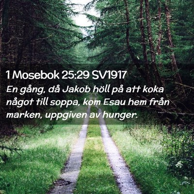 Picture 02 - 1 Mosebok 25:29 SV1917 - En gång, då Jakob höll på att koka något - Bible Verse Picture