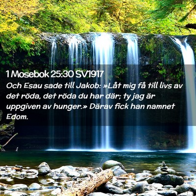 Picture 02 - 1 Mosebok 25:30 SV1917 - Och Esau sade till Jakob: »Låt mig få till - Bible Verse Picture