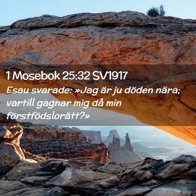 Picture 02 - 1 Mosebok 25:32 SV1917 - Esau svarade: »Jag är ju döden nära; vartill - Bible Verse Picture