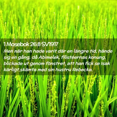 Picture 02 - 1 Mosebok 26:8 SV1917 - Men när han hade varit där en längre tid, - Bible Verse Picture