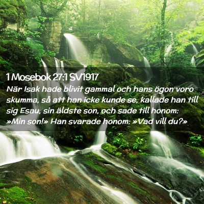 Picture 02 - 1 Mosebok 27:1 SV1917 - När Isak hade blivit gammal och hans ögon voro - Bible Verse Picture