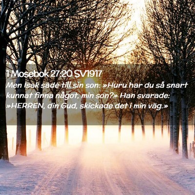 Picture 02 - 1 Mosebok 27:20 SV1917 - Men Isak sade till sin son: »Huru har du så - Bible Verse Picture