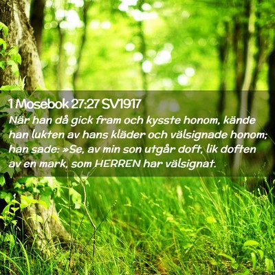 Picture 02 - 1 Mosebok 27:27 SV1917 - När han då gick fram och kysste honom, kände - Bible Verse Picture