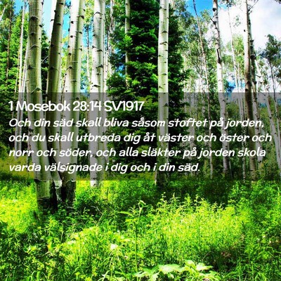 Picture 02 - 1 Mosebok 28:14 SV1917 - Och din säd skall bliva såsom stoftet på - Bible Verse Picture